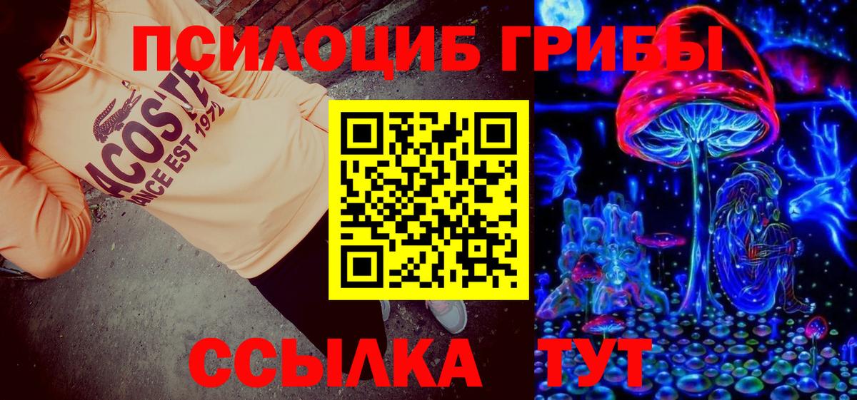 Галлюциногенные грибы Psilocybe  купить наркоту  Псилоцибиновые грибы мухоморы  Тосно  Вход с VPN 